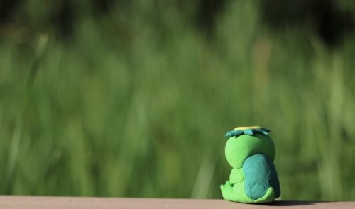 台風大丈夫でしたか？