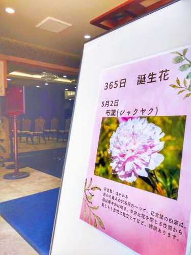 今日はなんのお花かな？