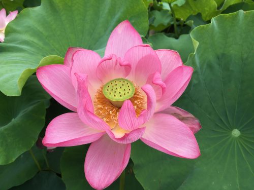 ふれ愛食堂　開催しました！！