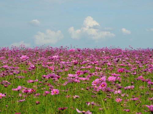 写経・写仏体験会開催中